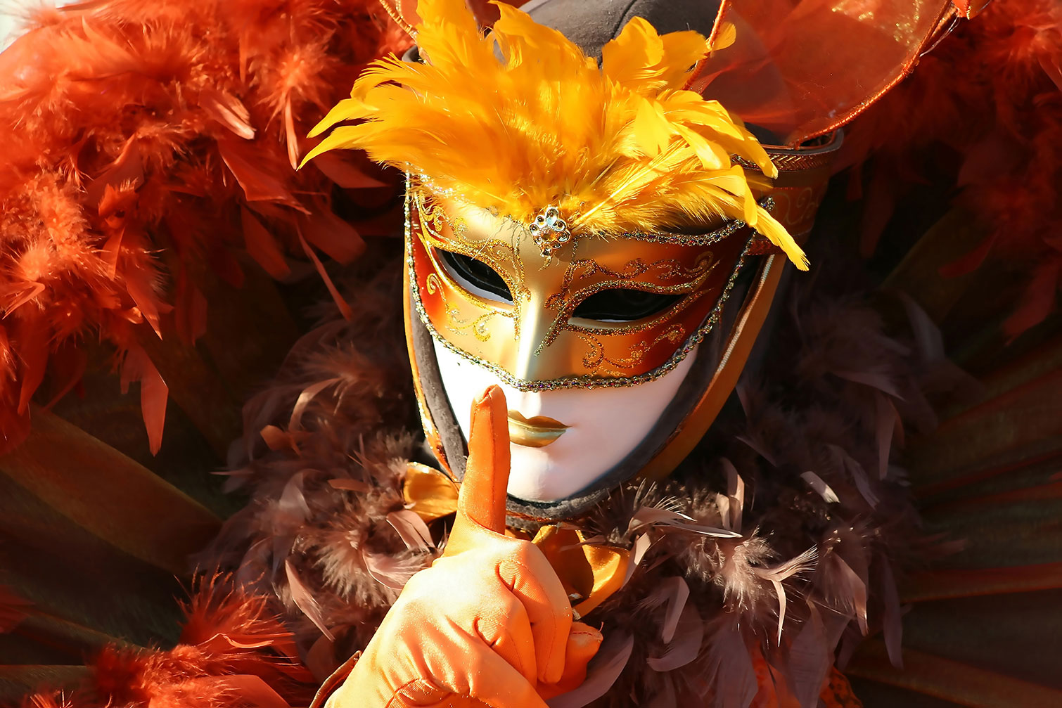 Tableau monde carnaval de venise, HEXOA