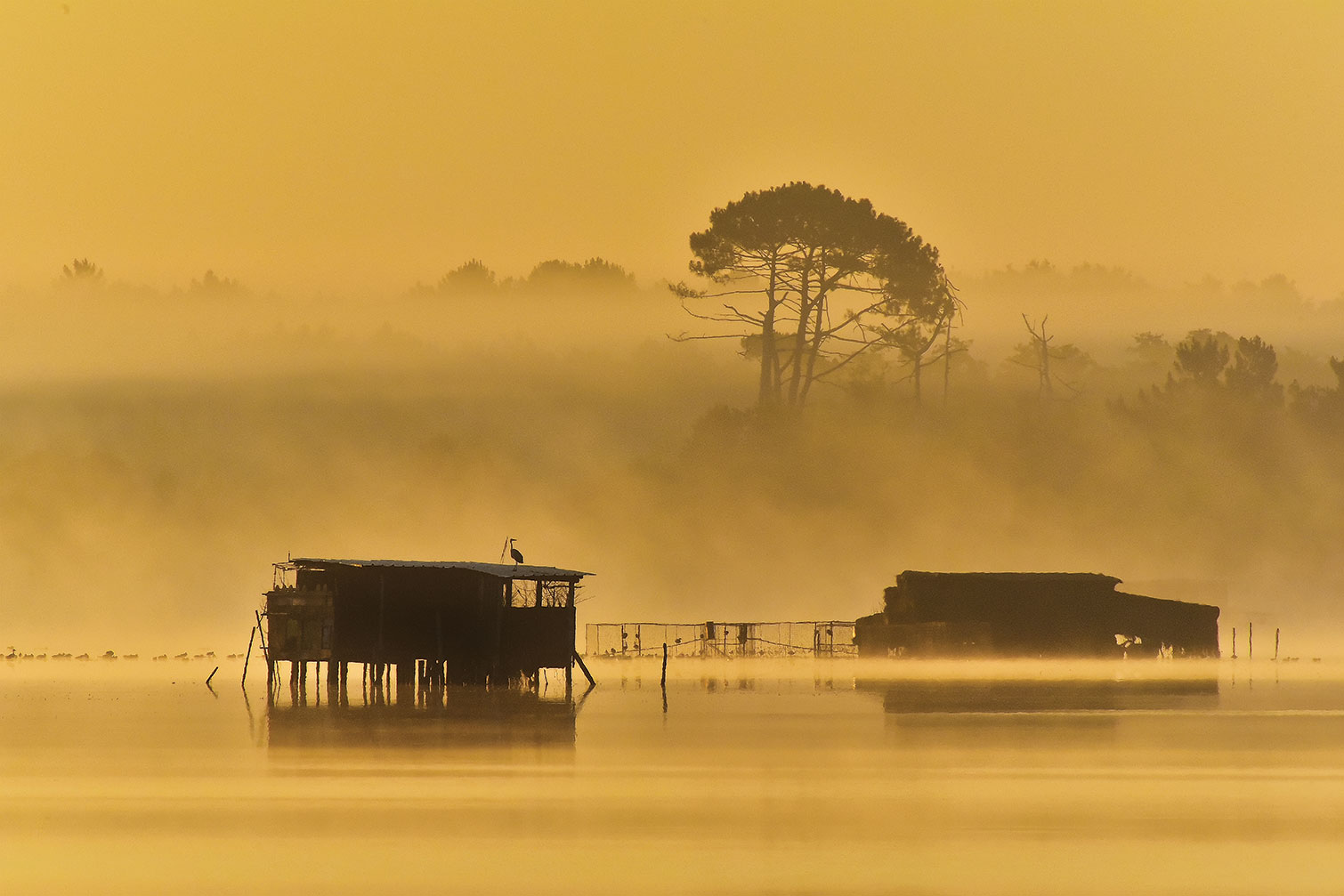 Tableau tonne landaise au petit matin, HEXOA
