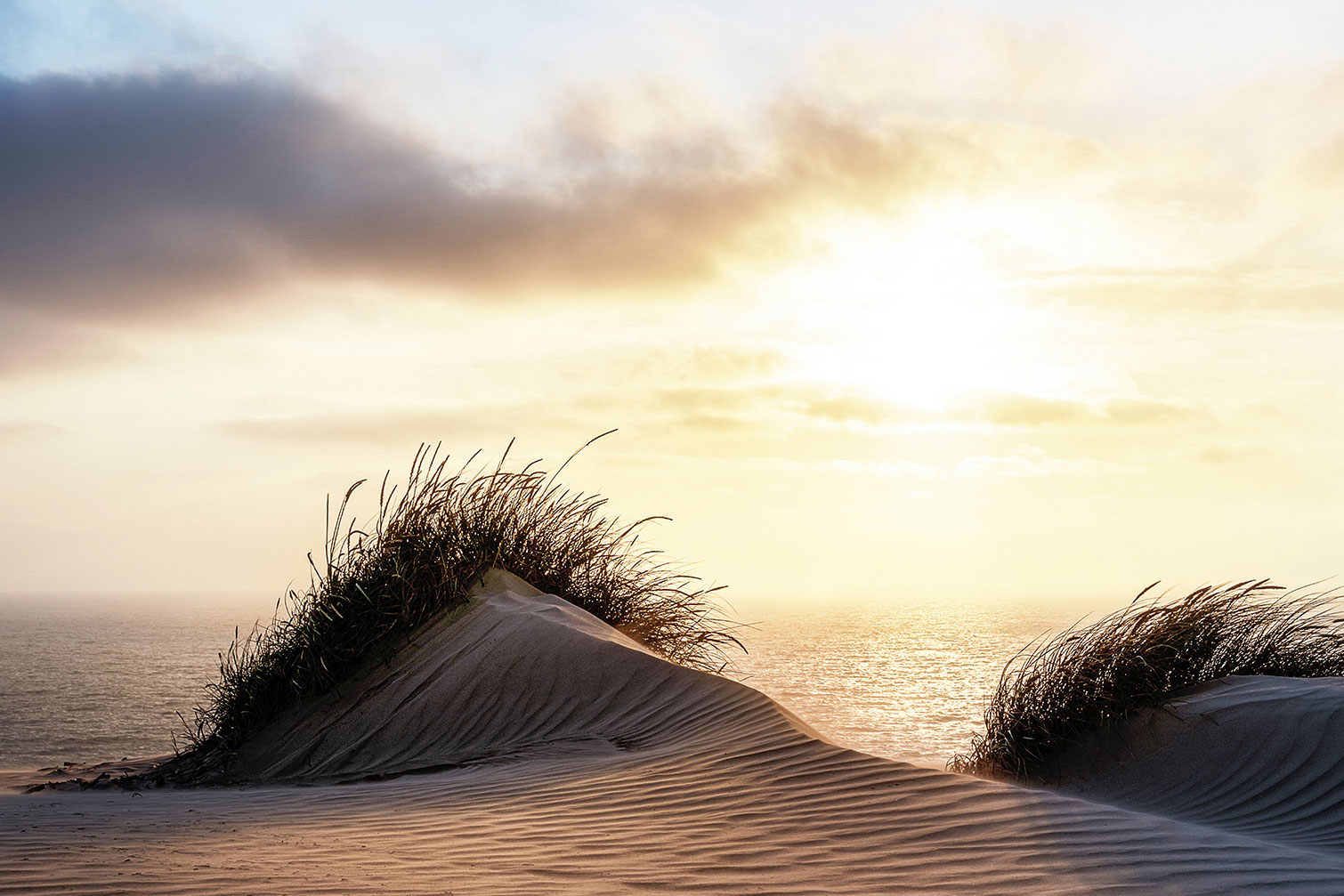Tableau dune au vent, HEXOA