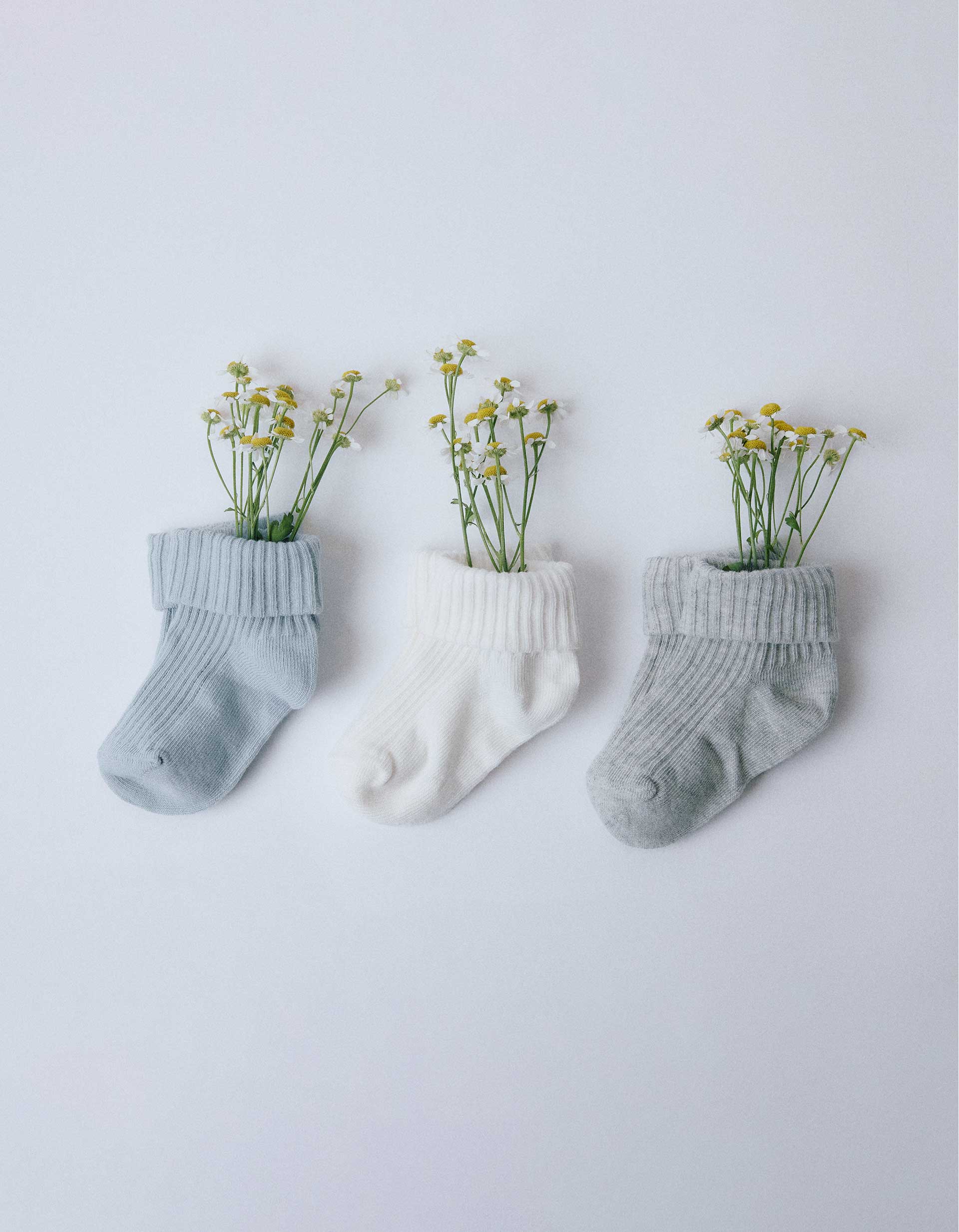 Pack 3 Paires de Chaussettes Côtelées, ZIPPY