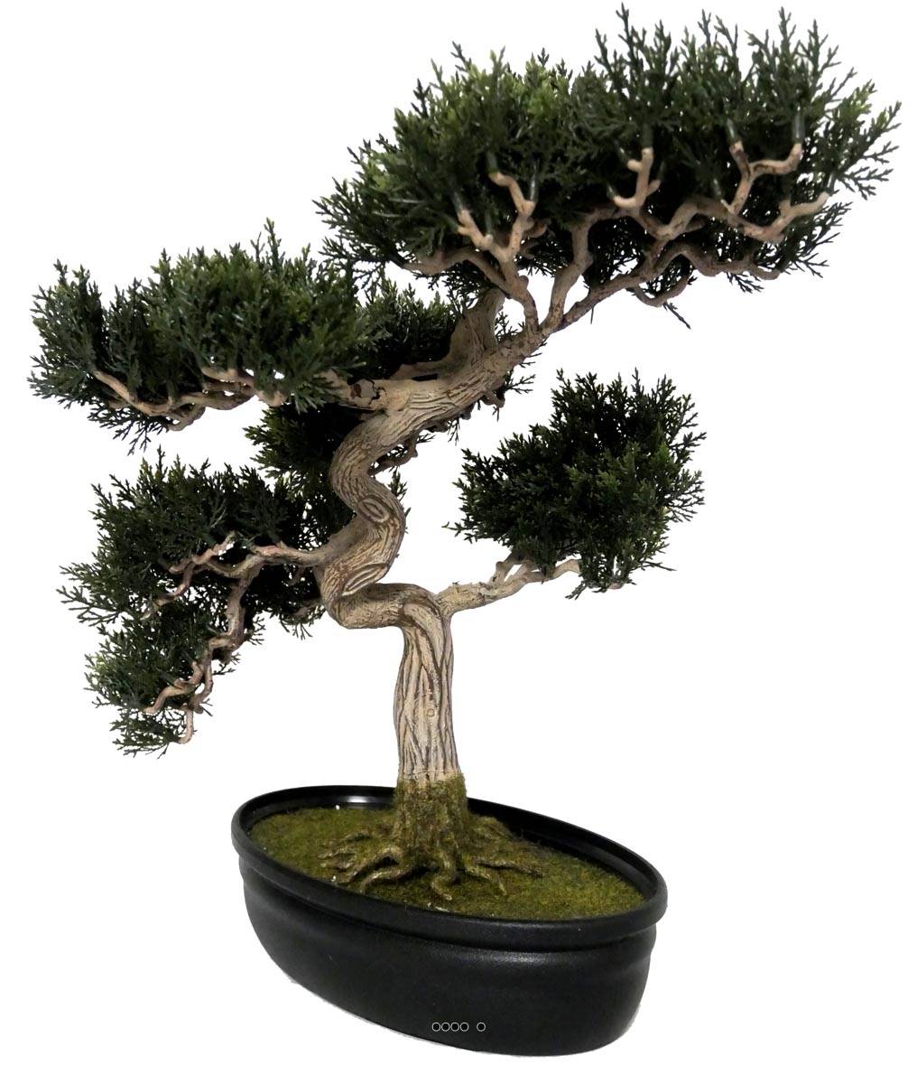 Bonsai artificiel Cedre H 43 X 40 CM, ARTIFICIELLES