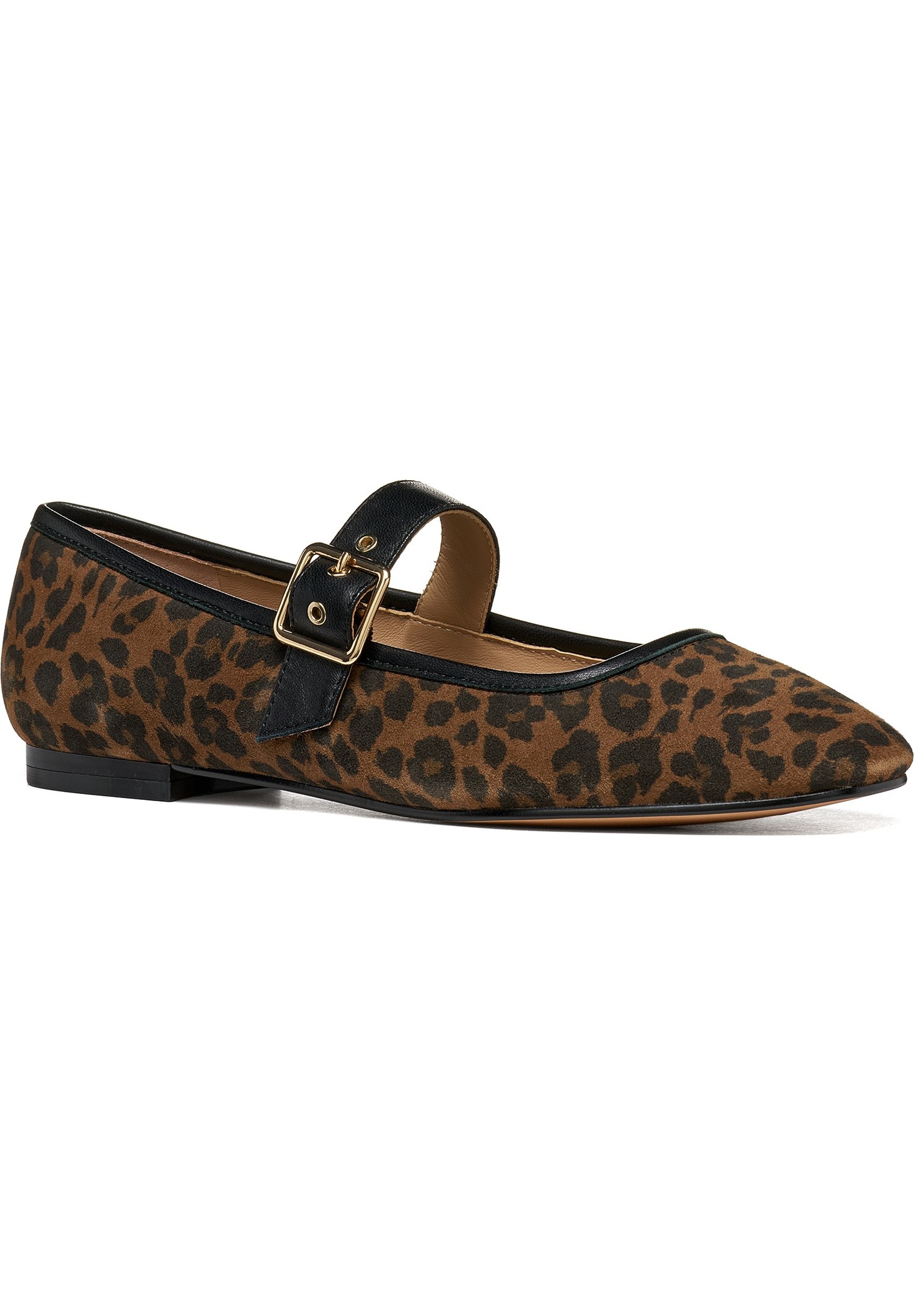 Ballerines  D AZLEA, GEOX