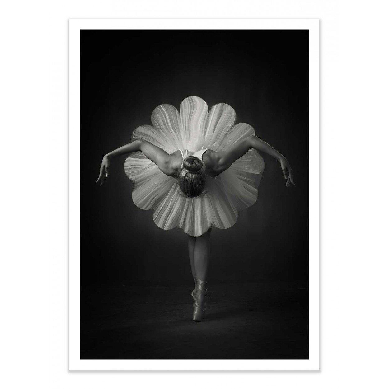 Affiche d’art et cadre noir 50 x 70 cm - Floral Ballet - Catchlight Studio, WALL EDITIONS