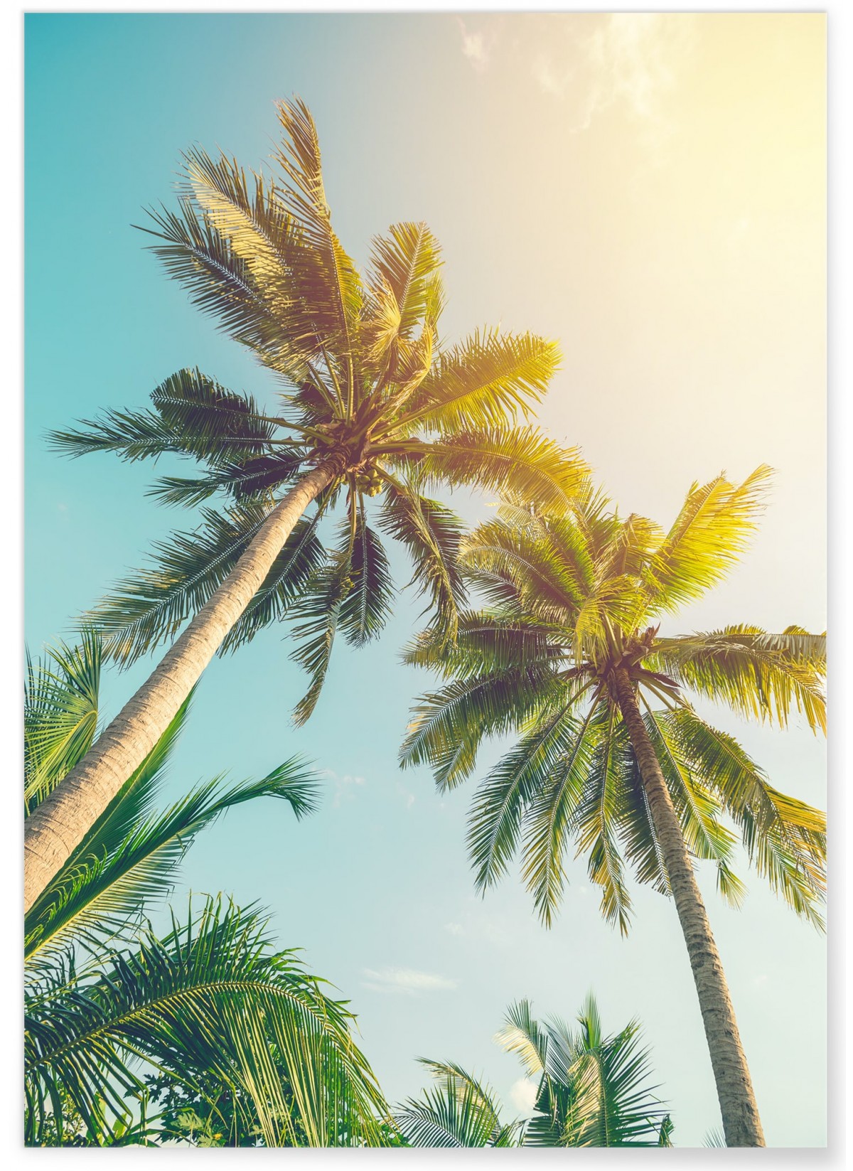 Poster Cocotier et Ciel Vintage, L'AFFICHERIE