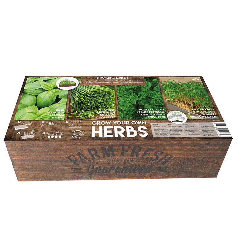 Carré de Potager Herbes de cuisine, FLOREX