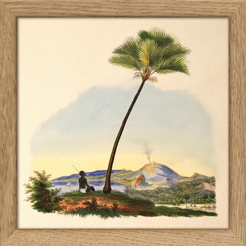 Petit tableau palmier  Palm and Man, THE DYBDAHL CO