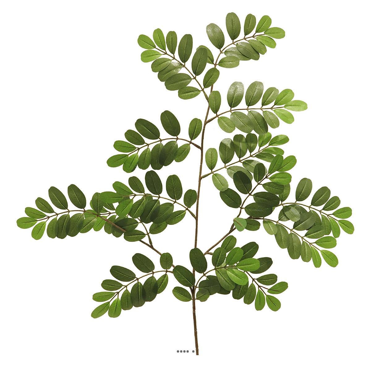 Robinia artificiel en branche H 69 cm D 40 cm, ARTIFICIELLES