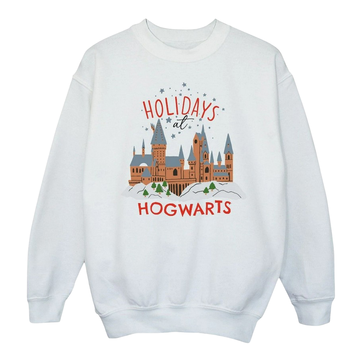 Sweat HOLIDAYS AT HOGWARTS, HARRY POTTER
