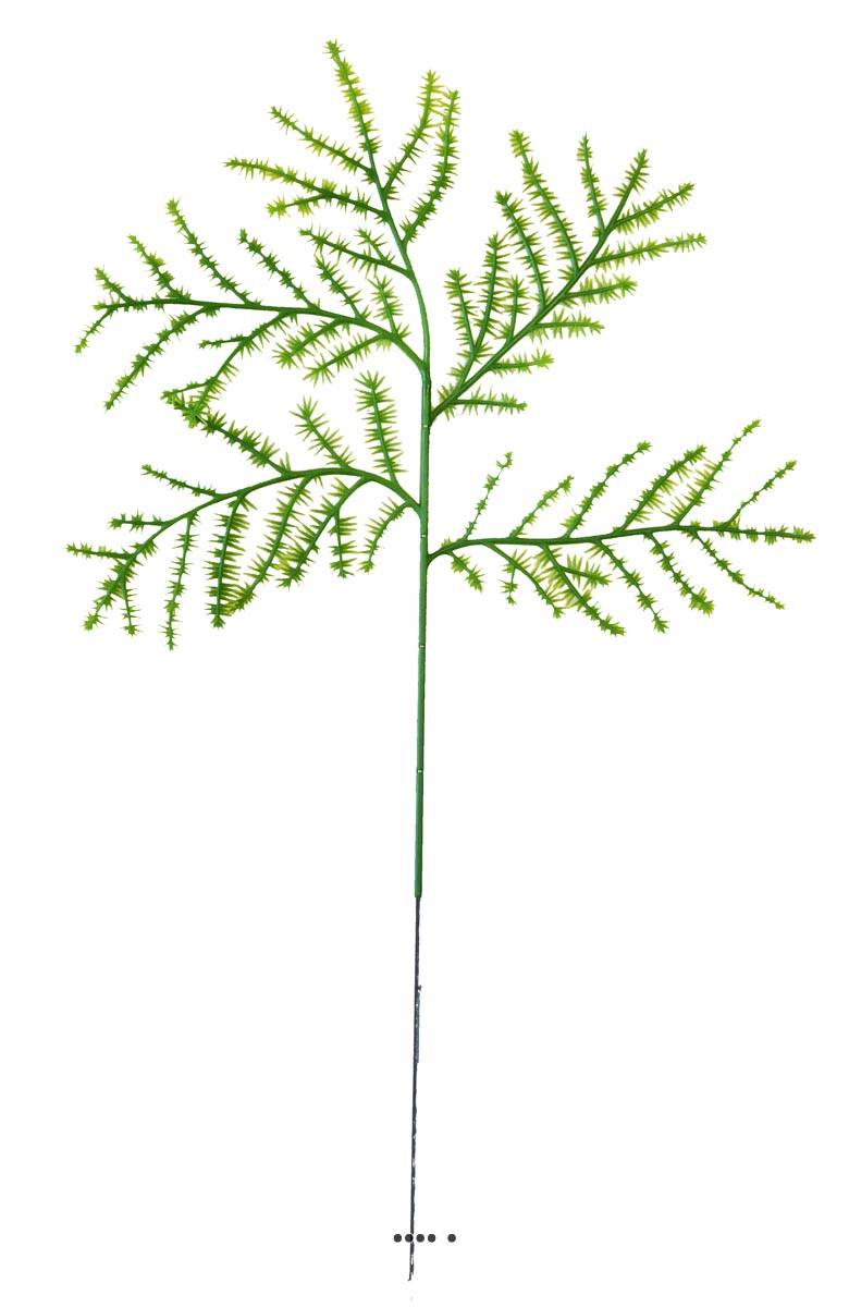 Feuille d'Asparagus Plumosus artif, ARTIFICIELLES