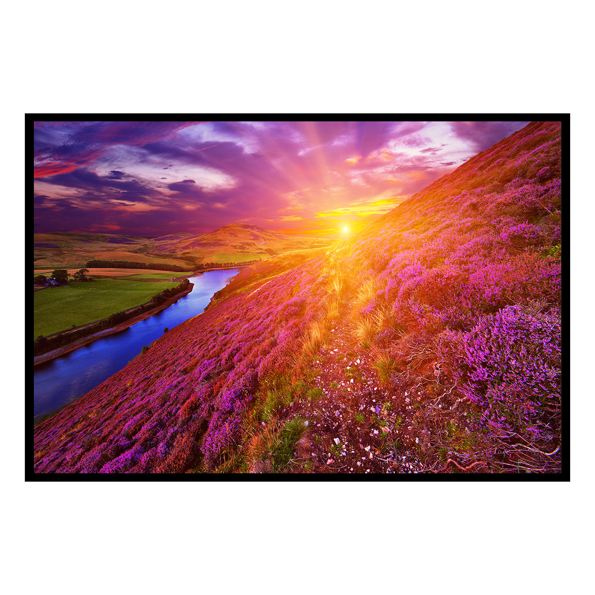 Affiche encadrée paysage de lande fleurie au coucher du soleil, HEXOA