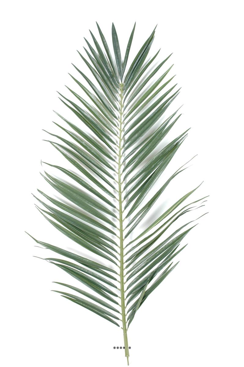 Feuille de palmier artificielle H 147 cm, ARTIFICIELLES
