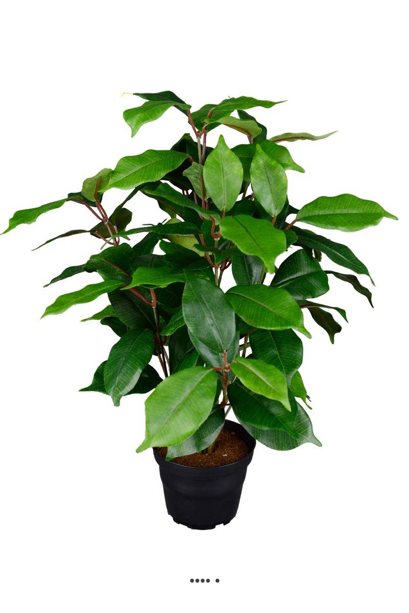 Ficus benjamina artificiel en pot H 40 cm,, ARTIFICIELLES
