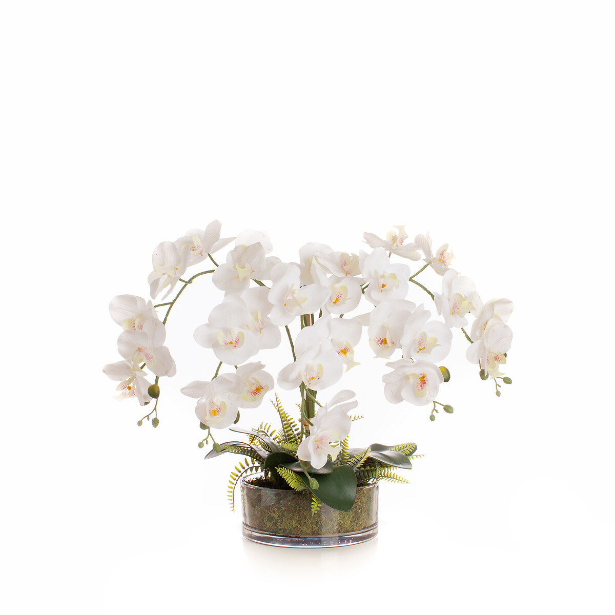 55cm Real Touch 5-Stem Orchid with Fern in Glass Pot, SO'HOME
