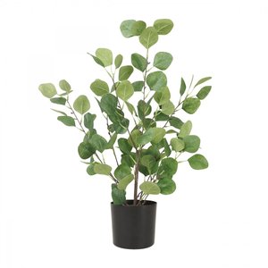 Eucalyptus artificiel vert 60cm