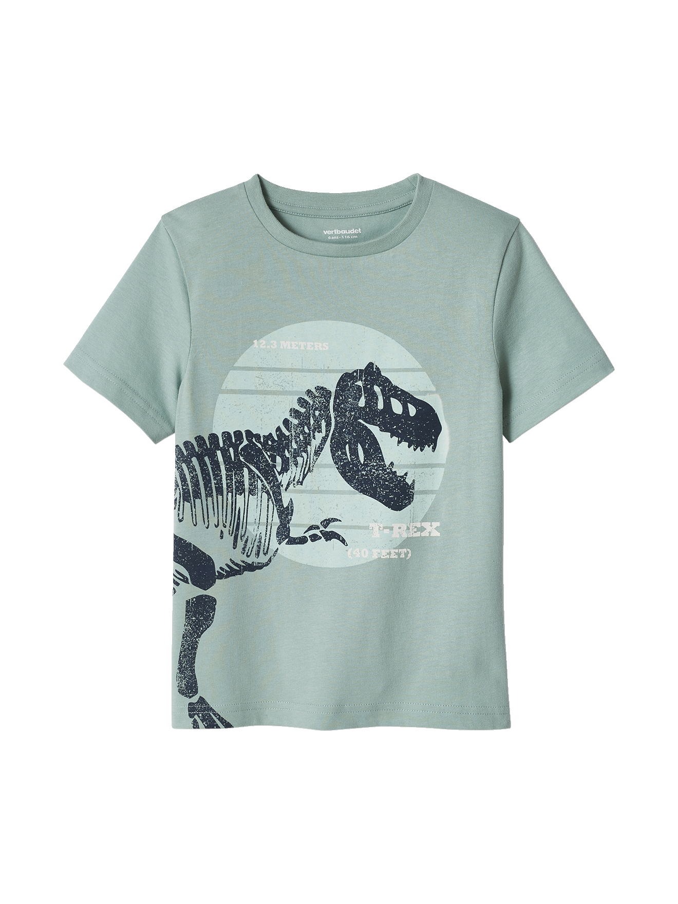T-shirt motif dinosaure géant, VERTBAUDET