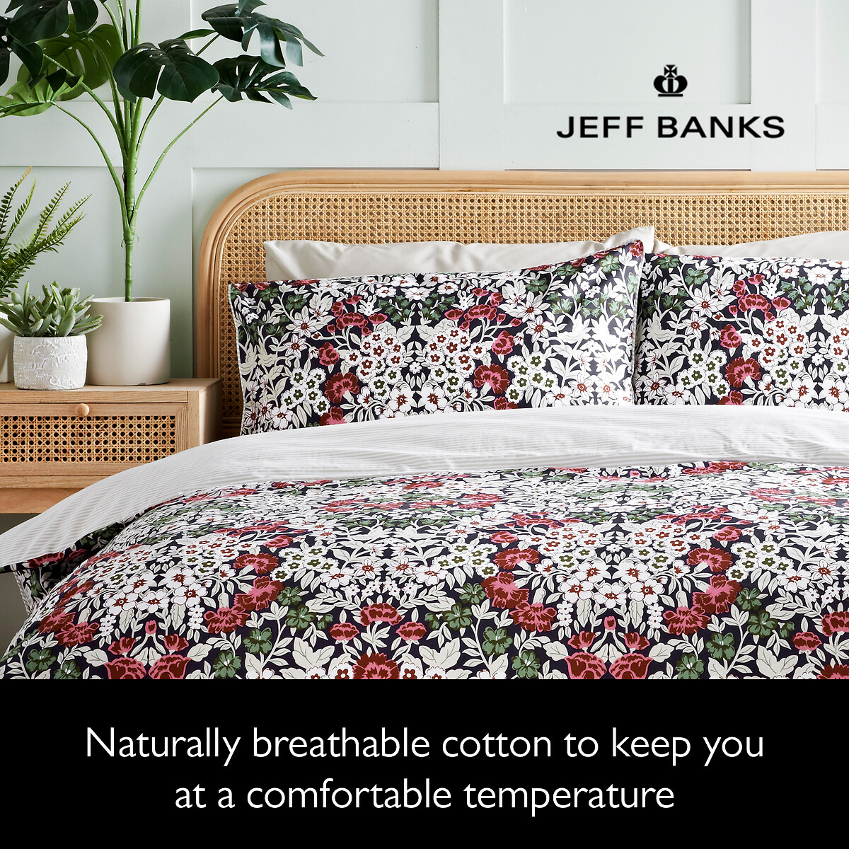 Jeff clearance banks pillows