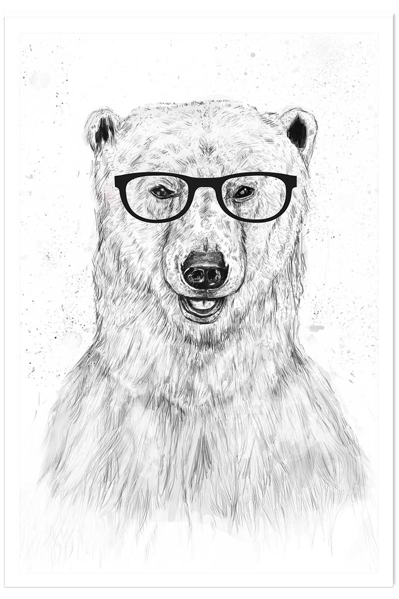 Affiche enfant ours etudiant, HEXOA