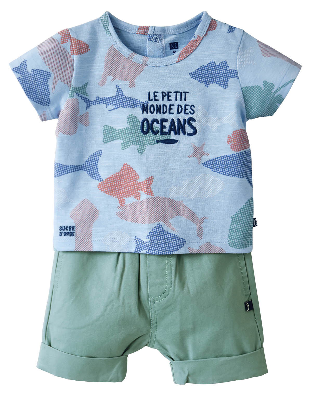 T shirt et bermuda clovis, SUCRE D'ORGE