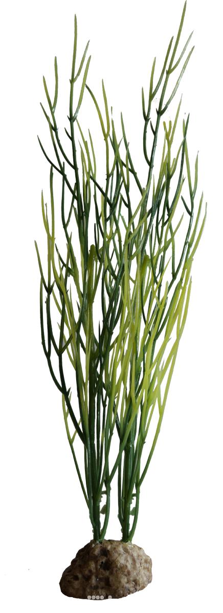 Sagittaria factice Vert-Jaune lestée H25cm, ARTIFICIELLES
