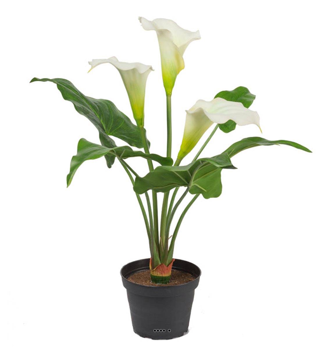 Arum calla artificiel en pot, 3 têtes, ARTIFICIELLES