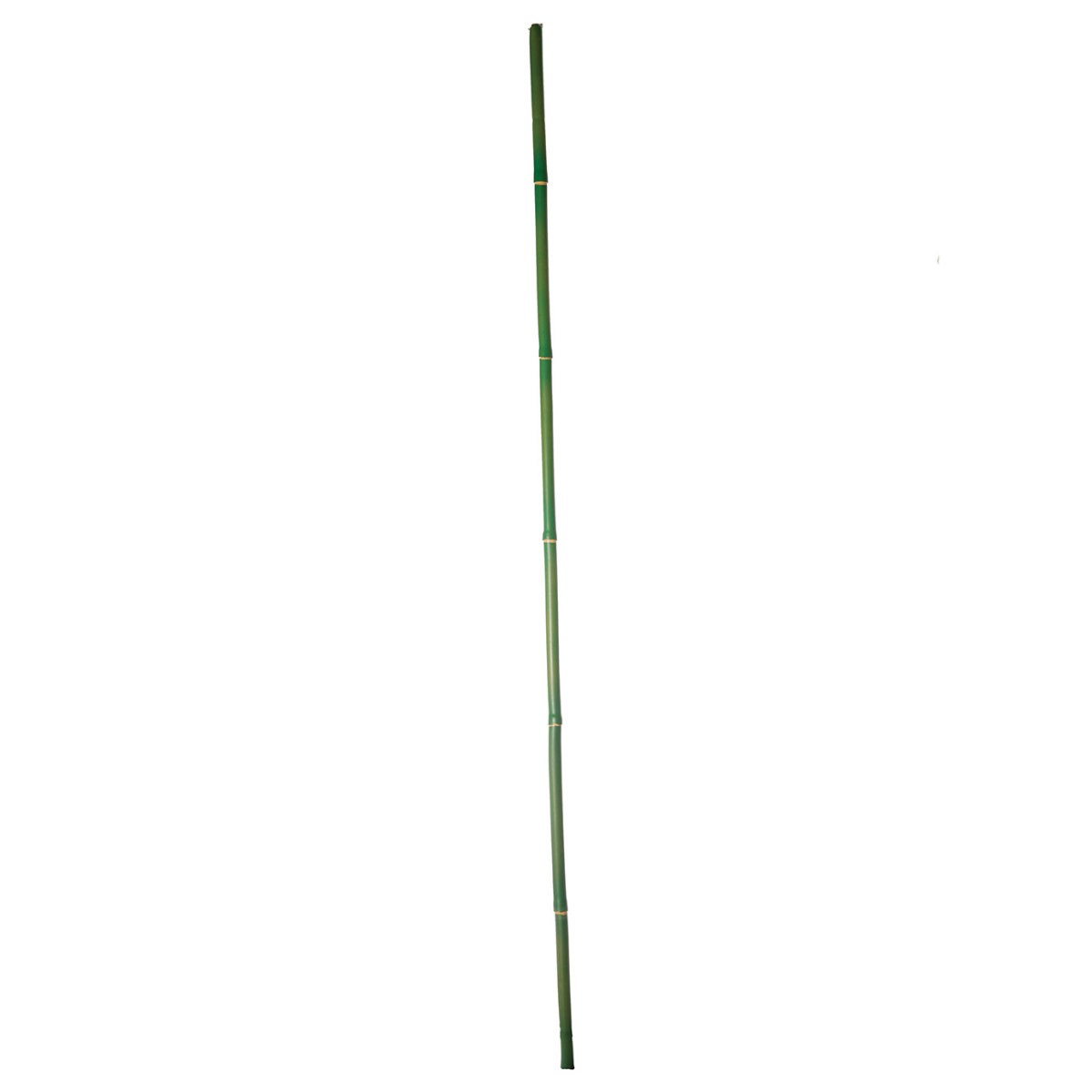 Branche de bambou artificielle H120, SIA DECO