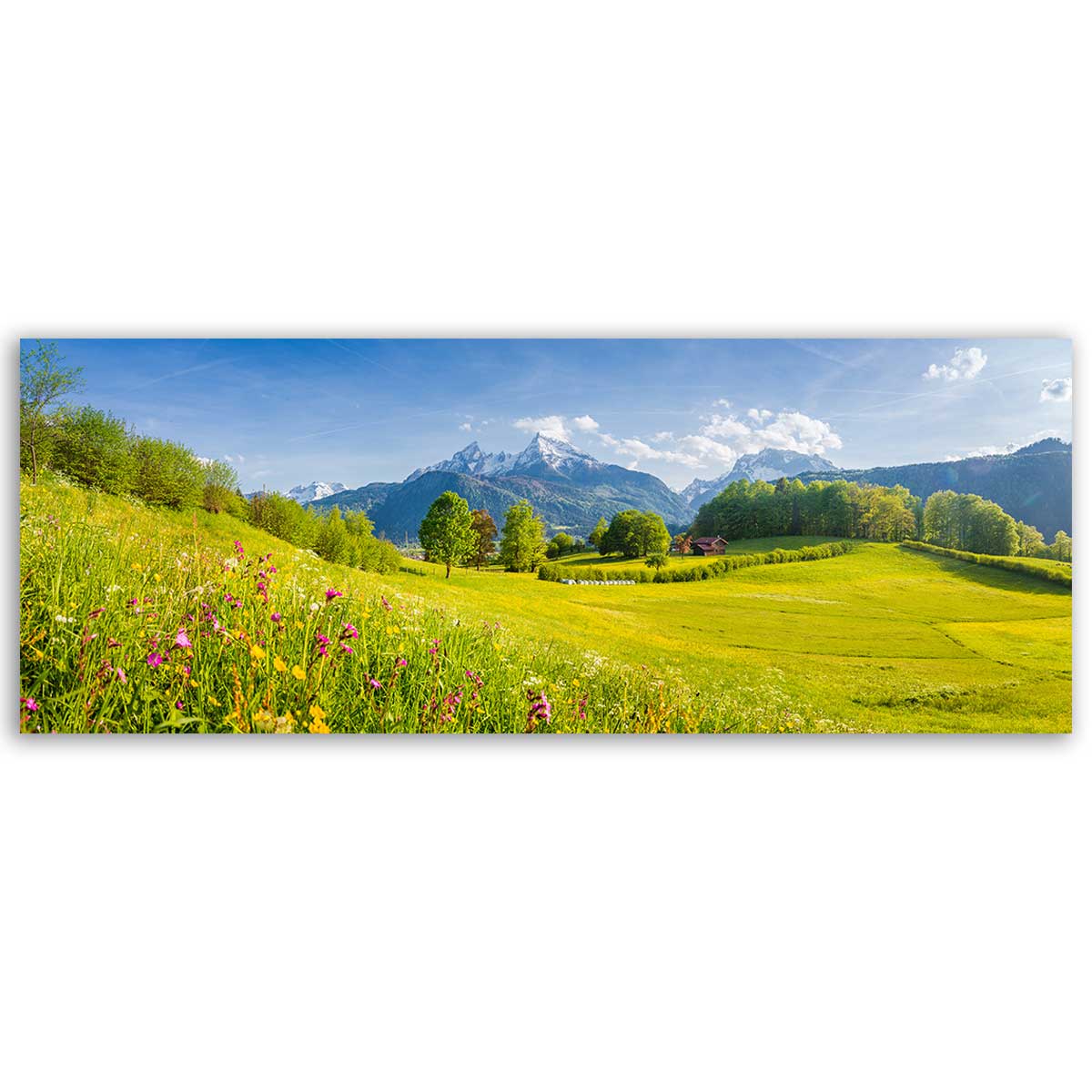 Tableau panoramique prairie alpine fleurs et montagnes, HEXOA