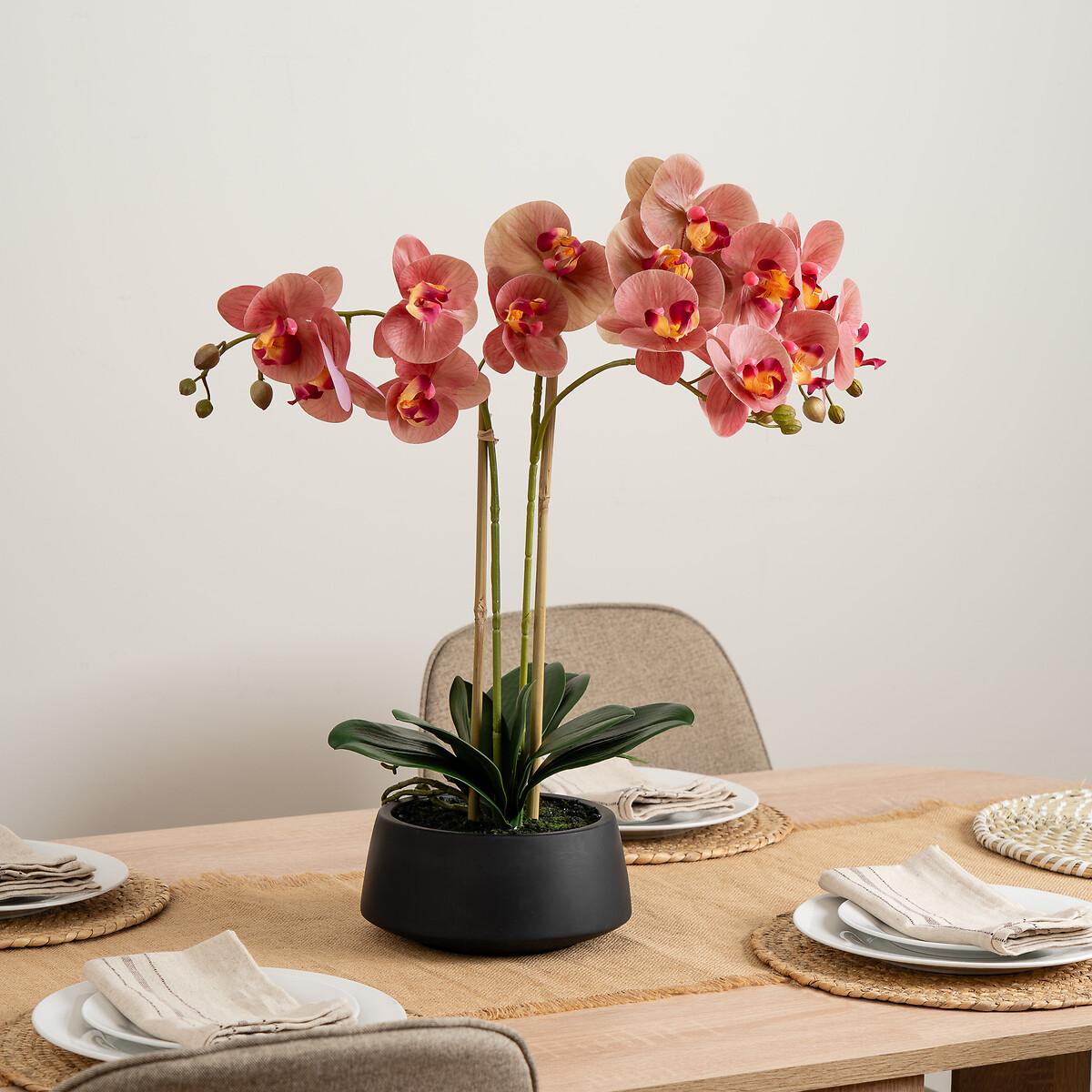 64cm Phalaenopsis Orchid in Pot, SO'HOME