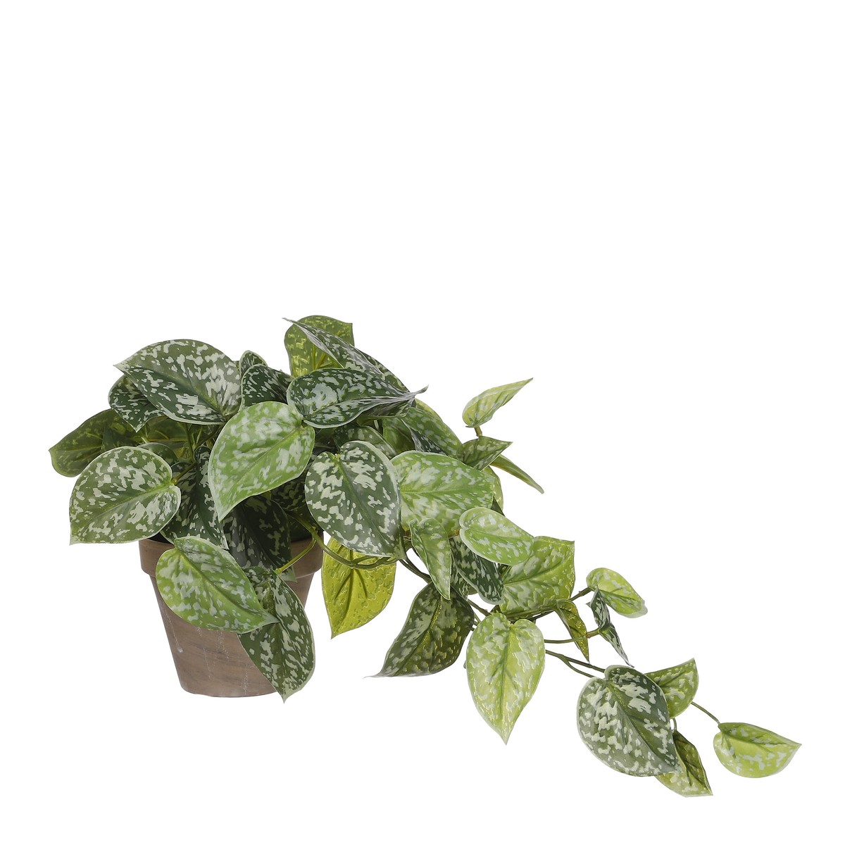 Plante artificielle SCINDAPSUS, MICA DECORATIONS