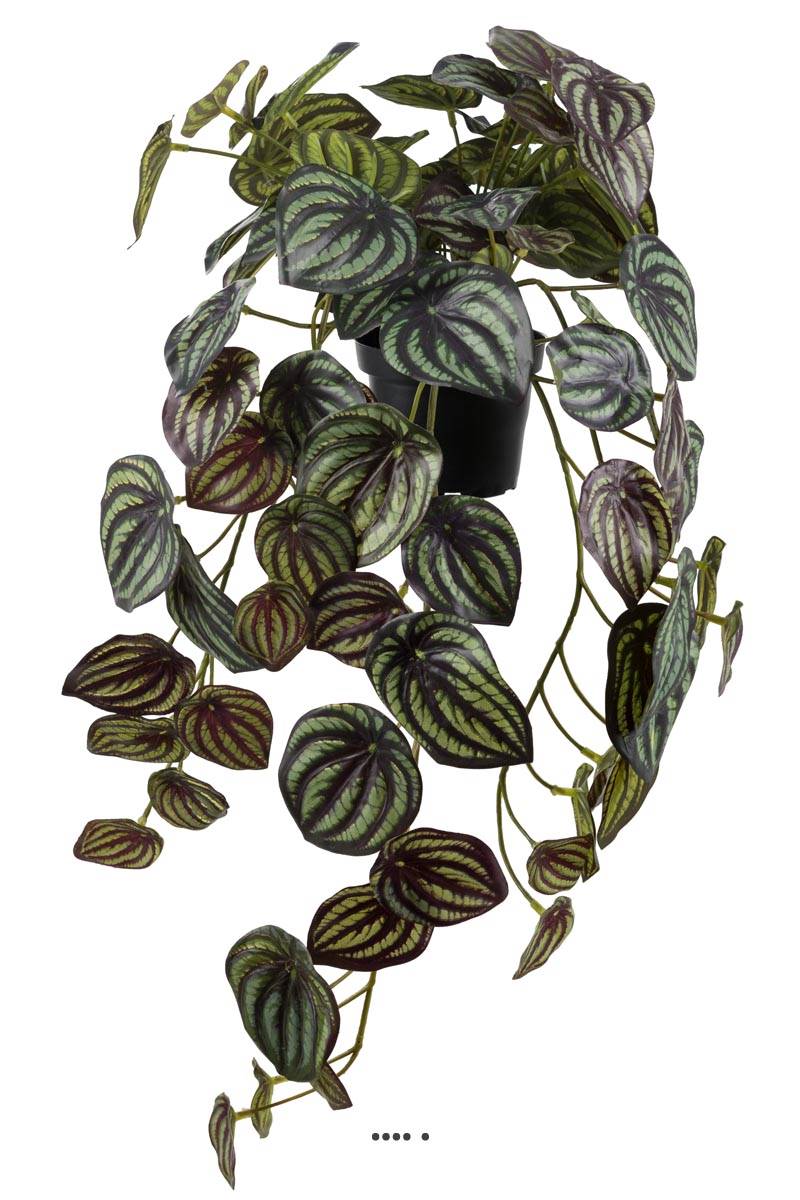 Pépéromia artificiel panaché H 20 cm L 45 cm, ARTIFICIELLES