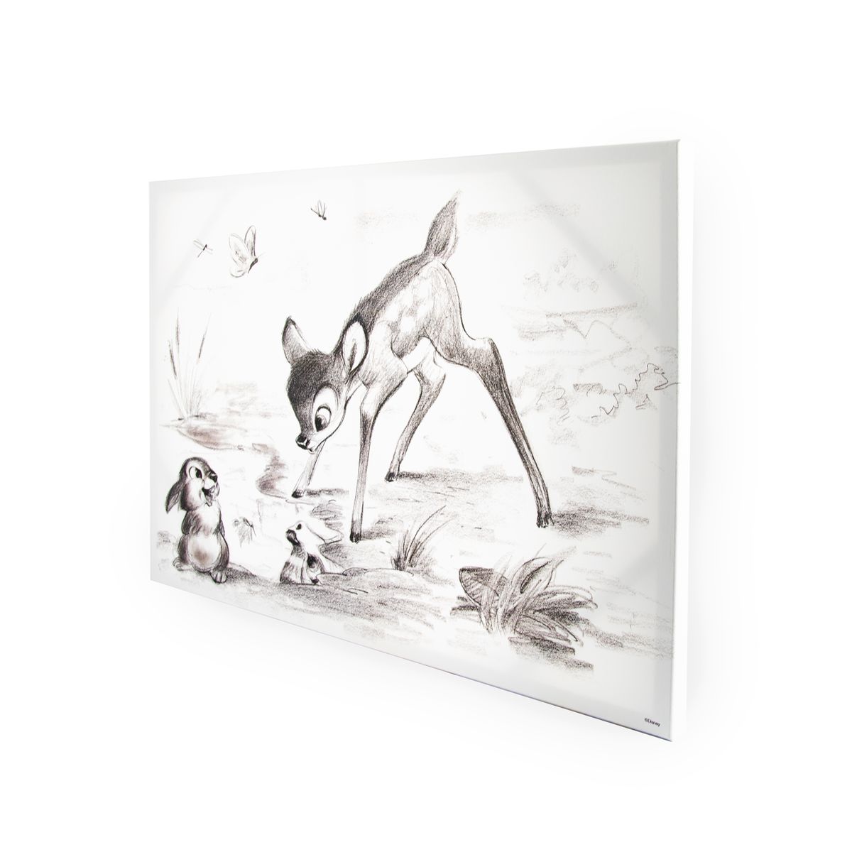 Toile Imprimee Disney Bambi Et Panpan Noir Blanc Disney La Redoute Toile Imprimee Disney Bambi Et Panpan Noir Blanc Disney La Redoute