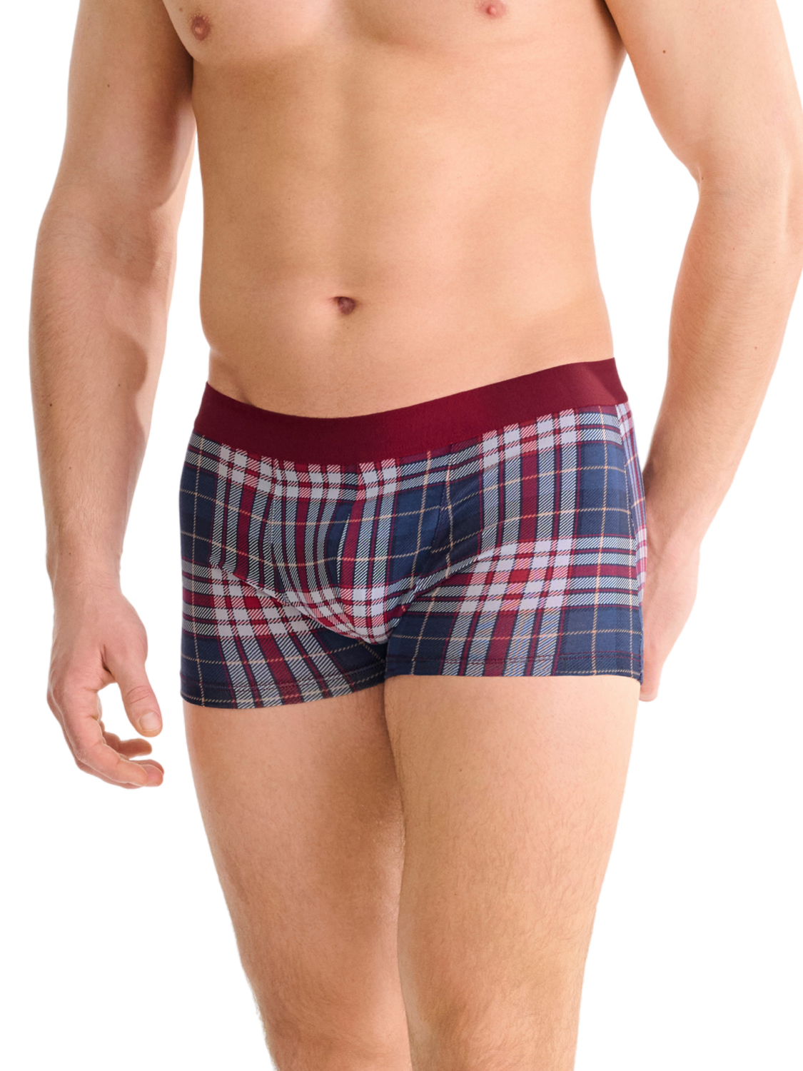 Boxer COSY NIGHTS, LISCA