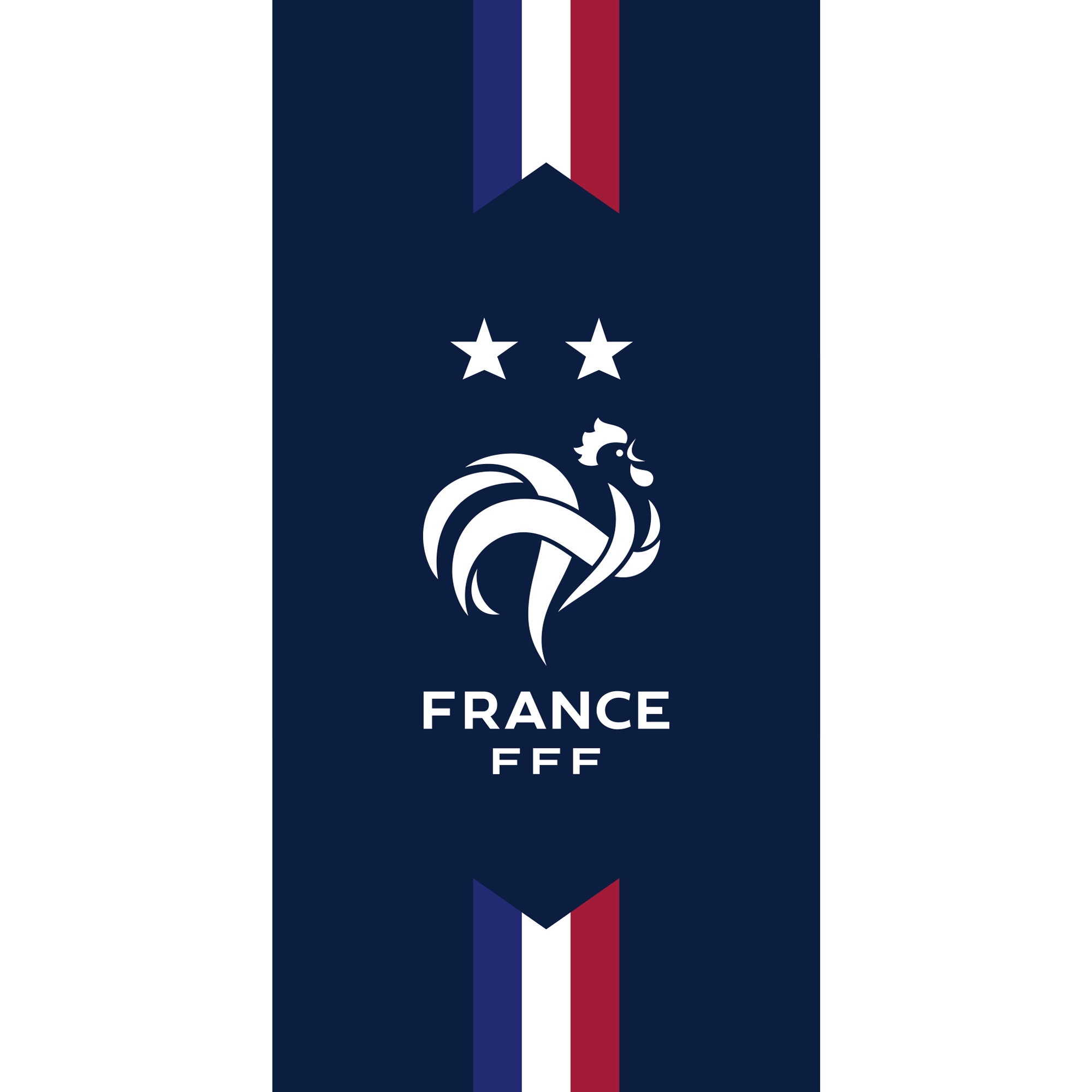 Serviette de bain et de plage imprimé 100% coton, Équipe de France de Football DEUX ÉTOILES, FFF