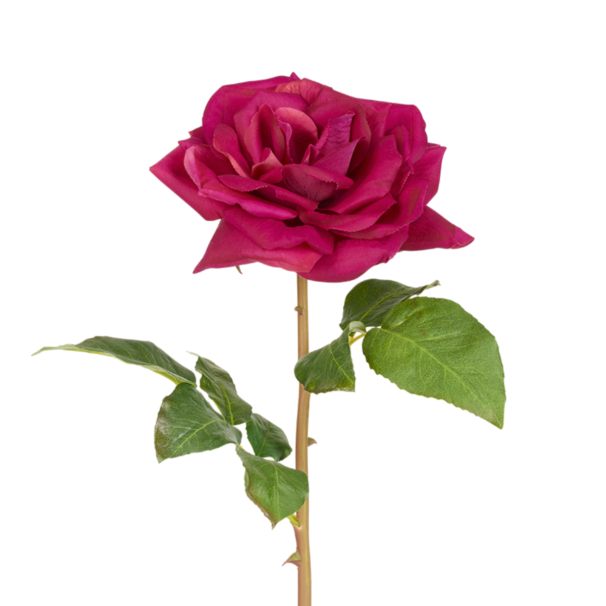Tige de rose rosie artificielle H50 Rosie, SIA DECO