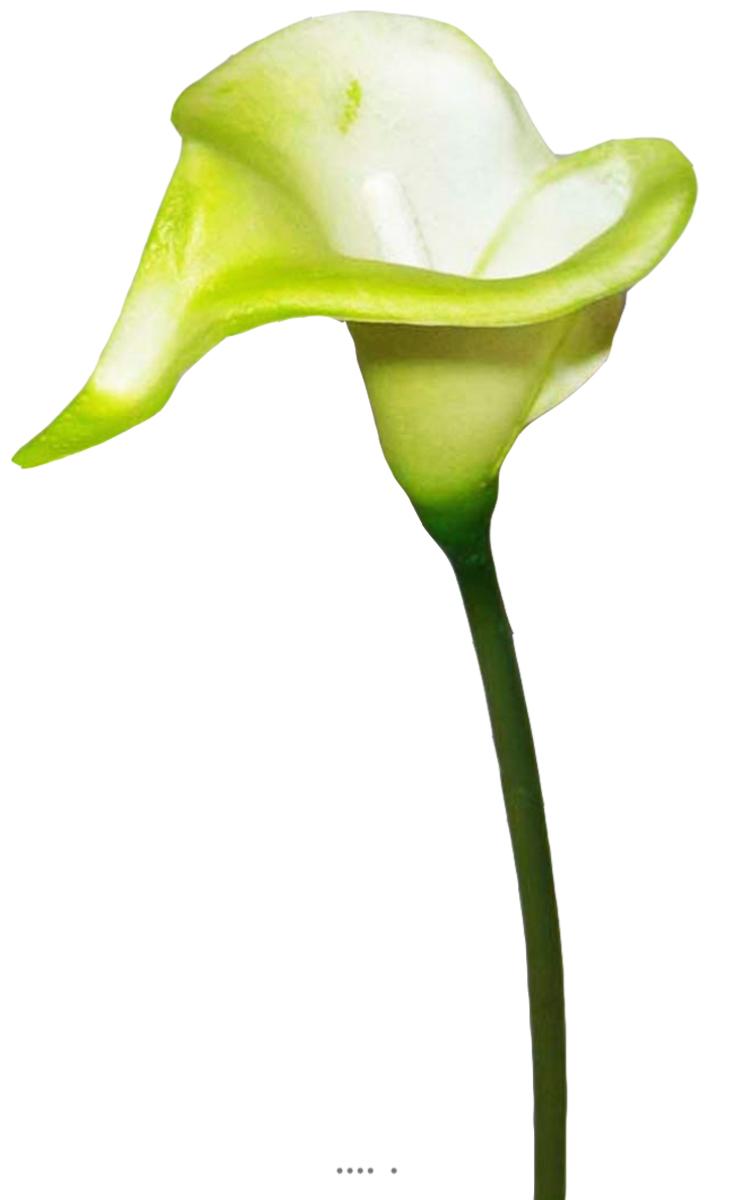 Arum calla fleur artificielle Verte H 42 cm S, ARTIFICIELLES