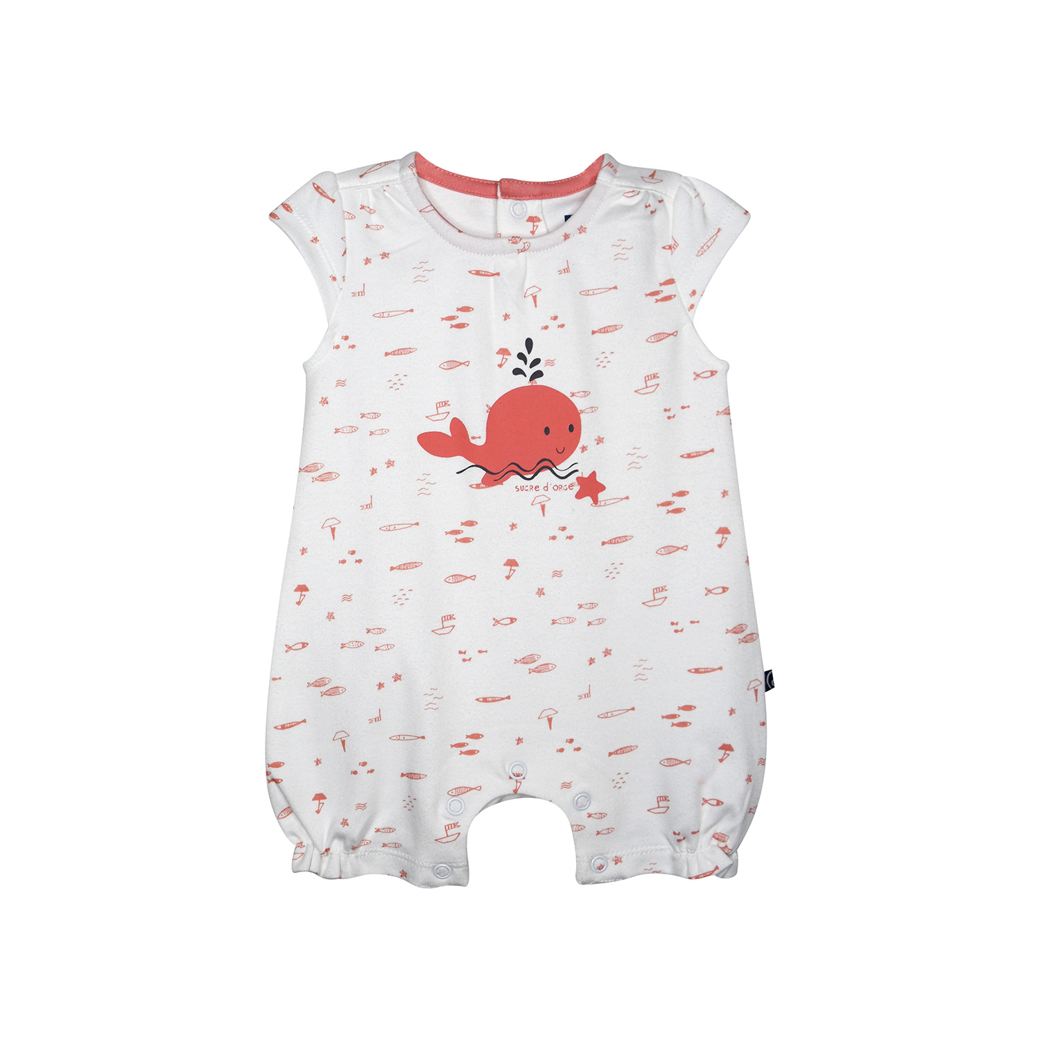 Combicourt lisbeth interlock naissance, SUCRE D'ORGE