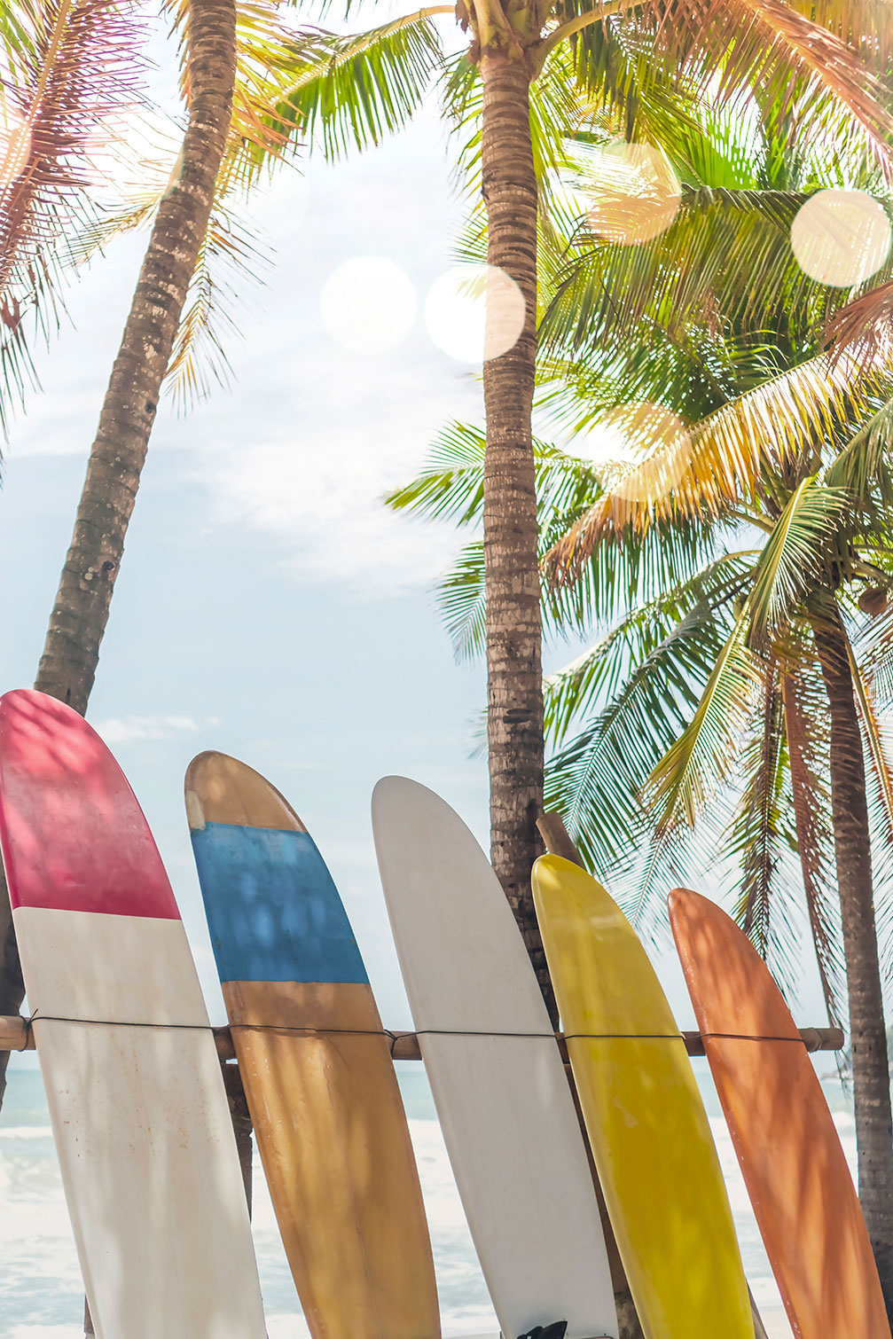 Tableau surf surf et coconut, HEXOA