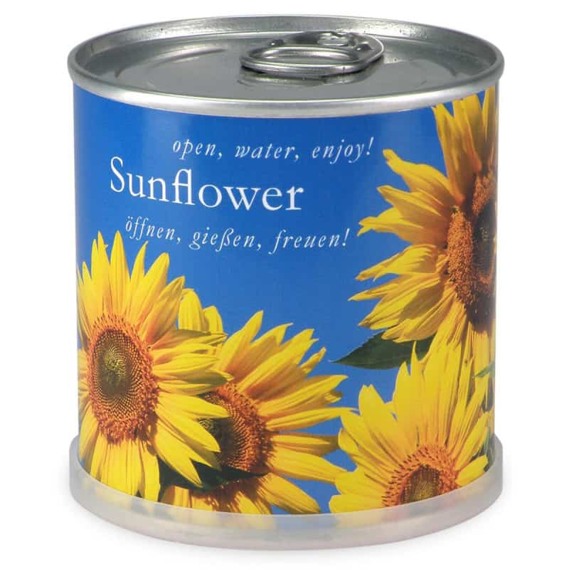Tournesol à faire pousser en boite, MAC FLOWERS