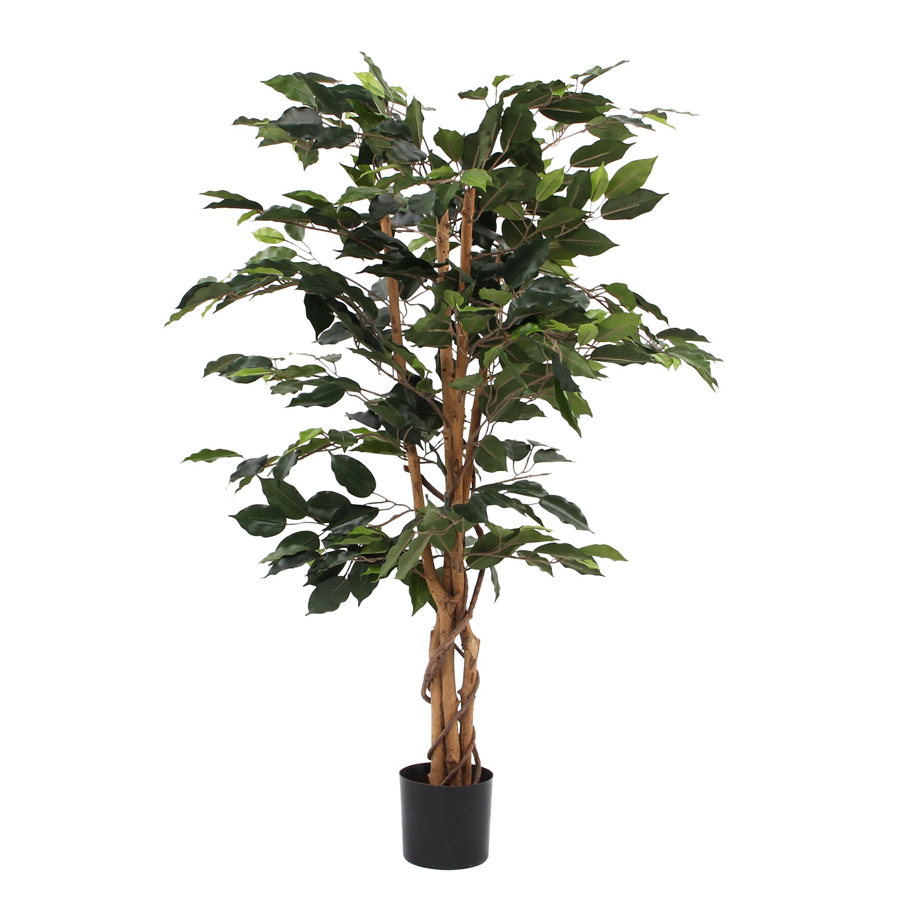 Plante artificielle FICUS, MICA DECORATIONS