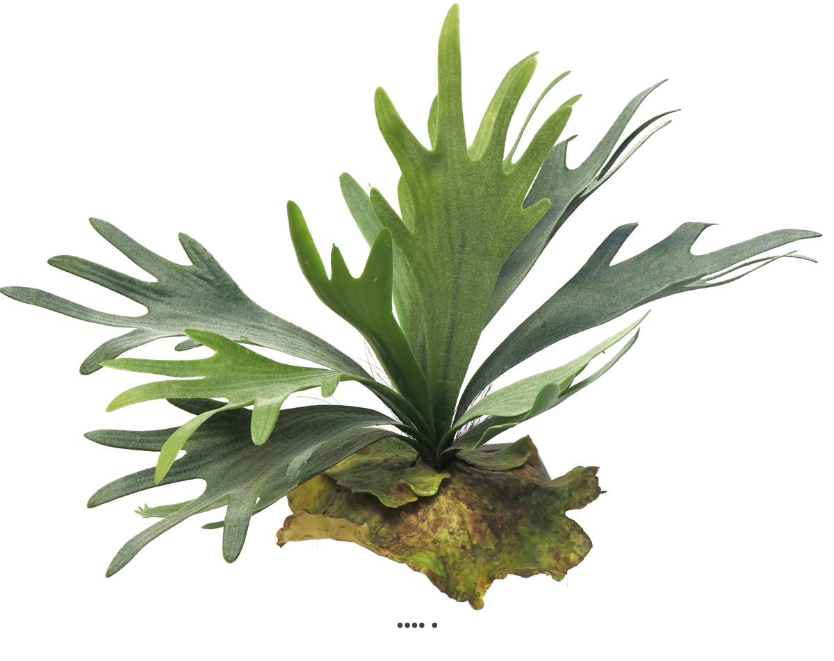 Fougère Platycerium factice sr socle imitat, ARTIFICIELLES