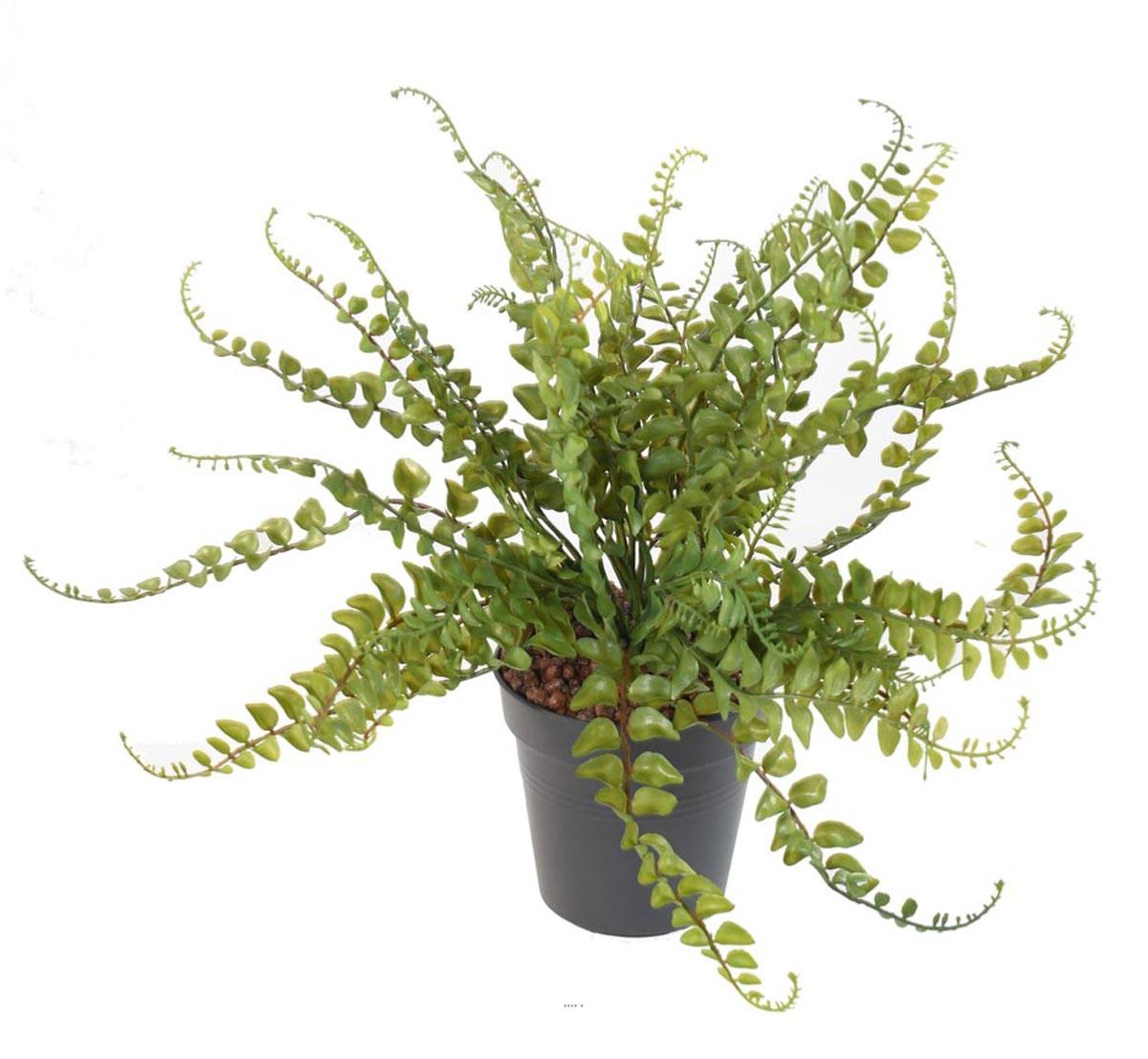 Fougère des forêts H38cm artificielle plast D, ARTIFICIELLES