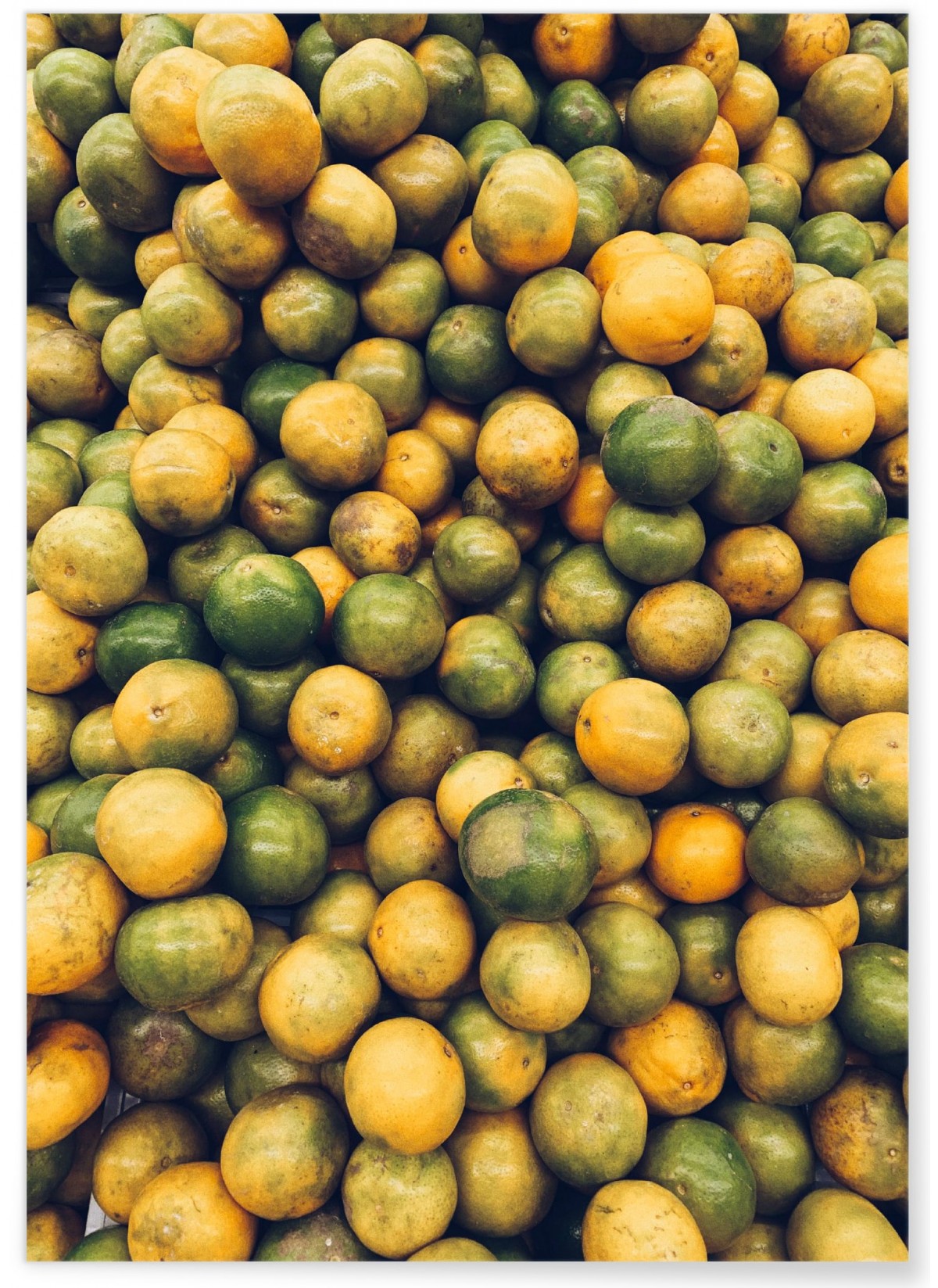 Poster Nature Fruits, L'AFFICHERIE