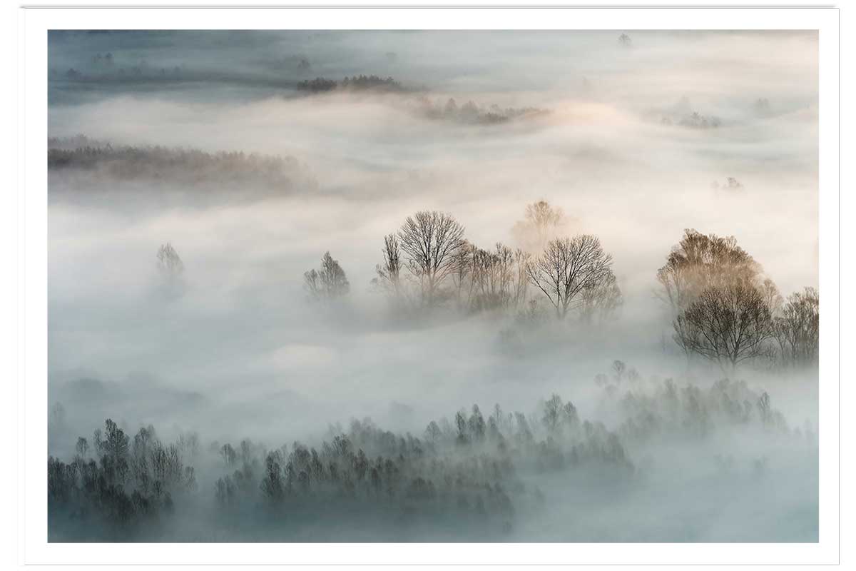 Affiche paysage brouillard hivernal, HEXOA