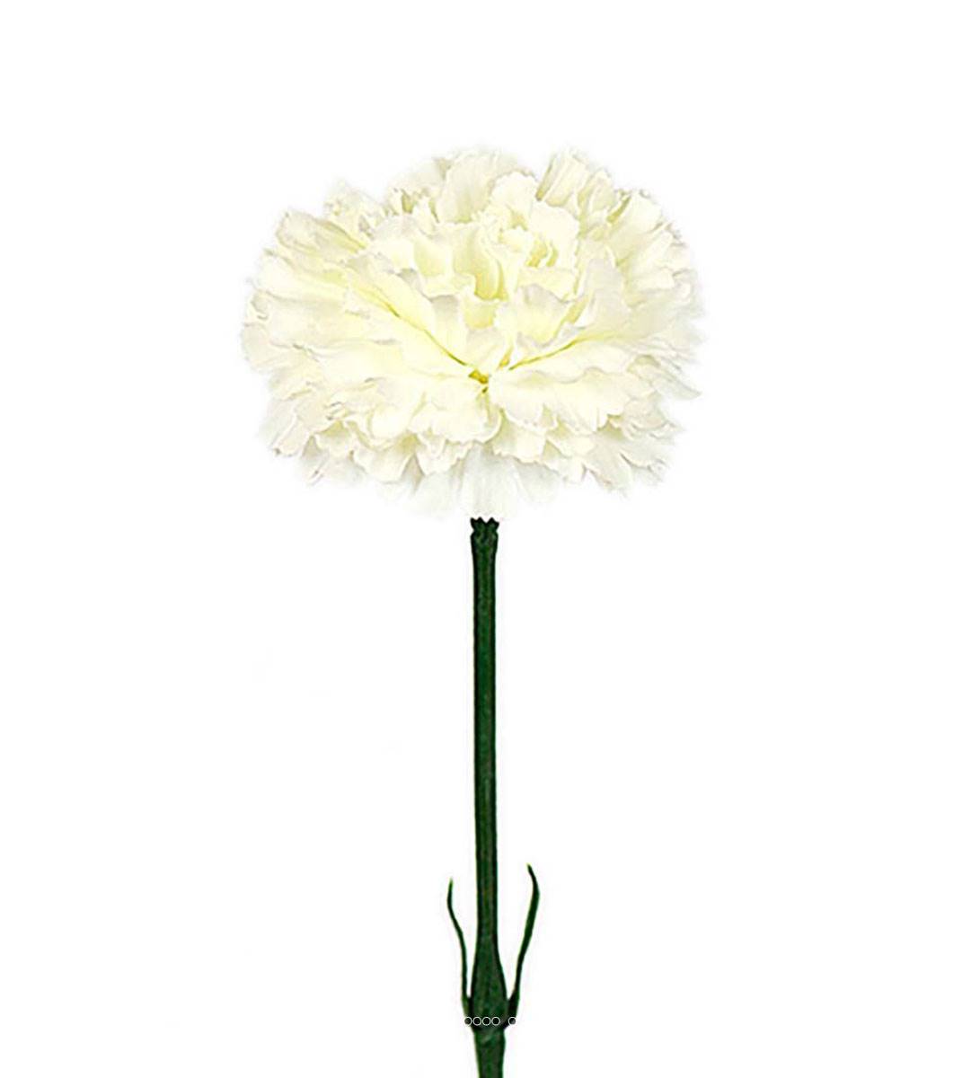 Oeillet artificiel H 55 cm superbe tête tissu, ARTIFICIELLES