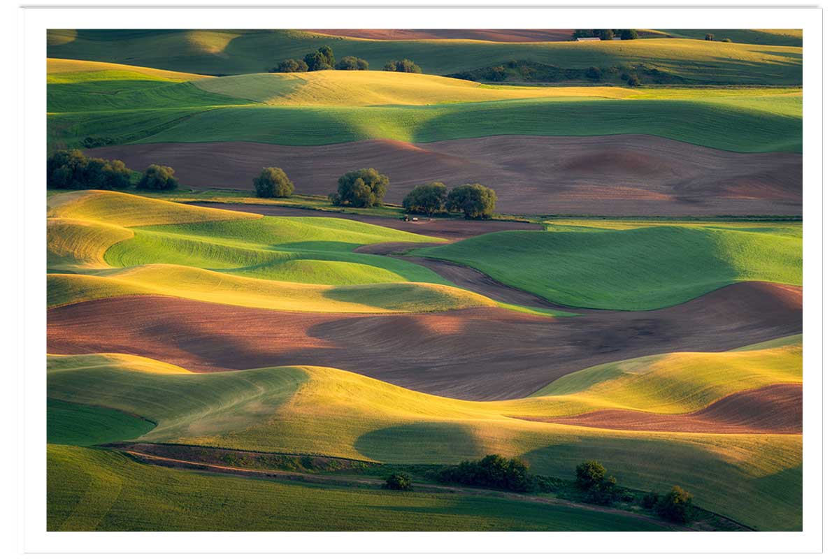 Affiche Colline colorée, HEXOA