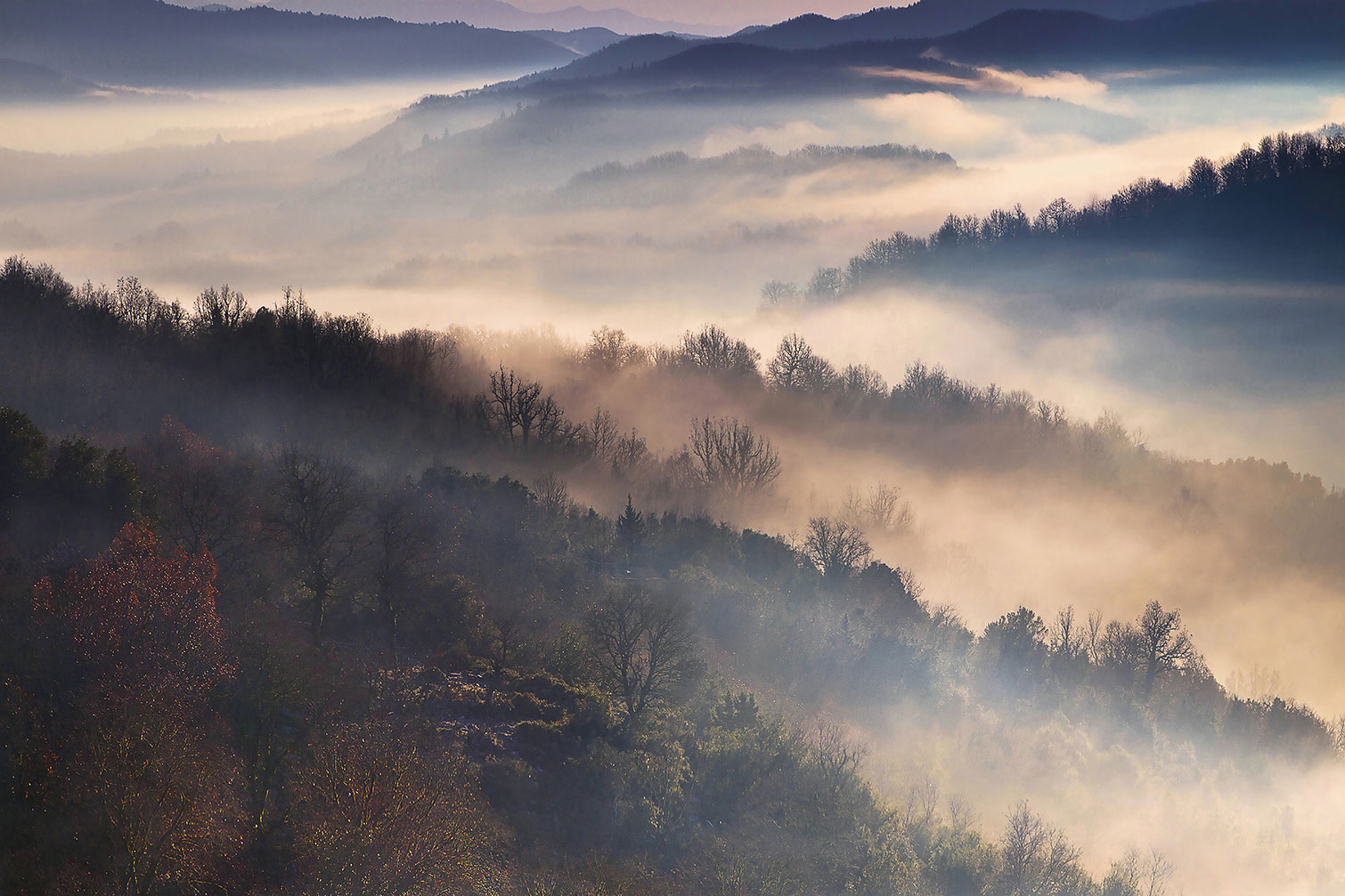 Tableau brume magique, HEXOA