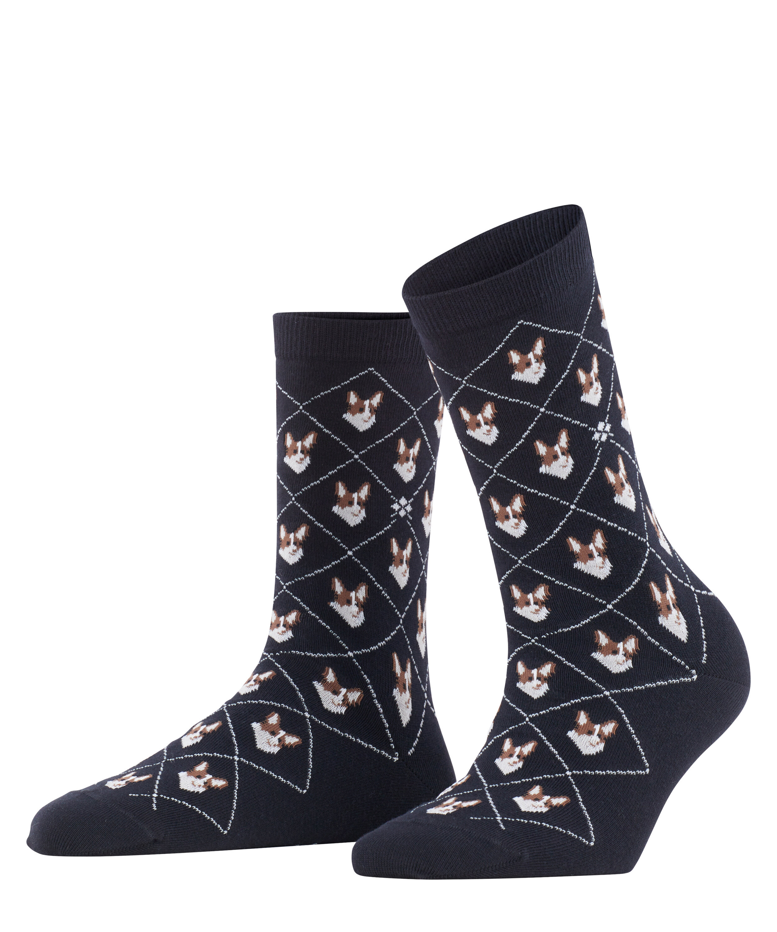 Chaussettes Corgi Opaque, BURLINGTON