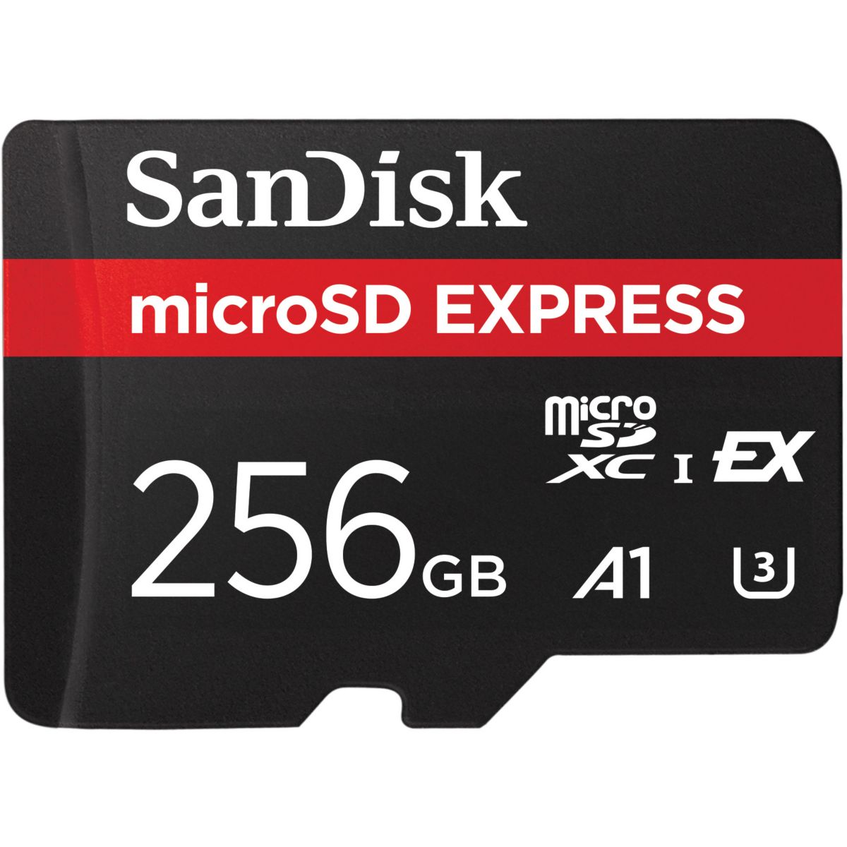 Carte Micro SD 256Go Express, SANDISK
