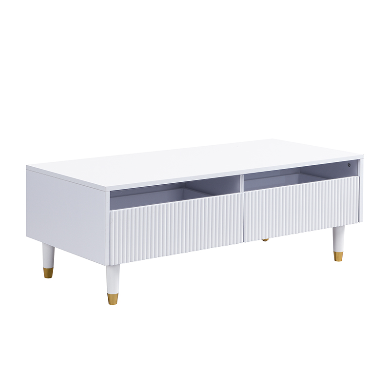 Table basse avec 2 tiroirs style moderne, CATTAIL, MEUBLES COSY