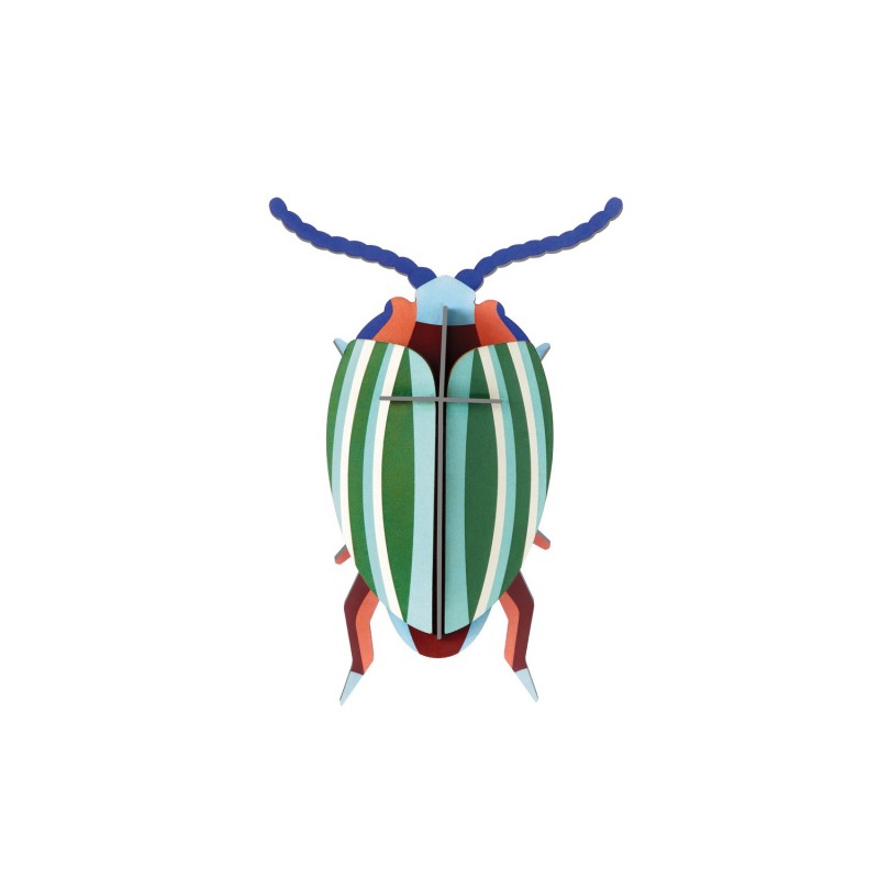 Scarabée carton Rainbow Leef Beetle, STUDIO ROOF