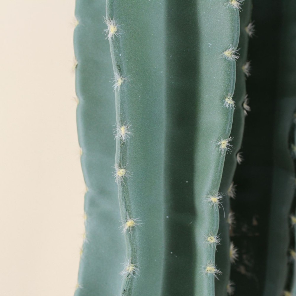 Cactus erytréa artificiel 167cm, ORNAMI